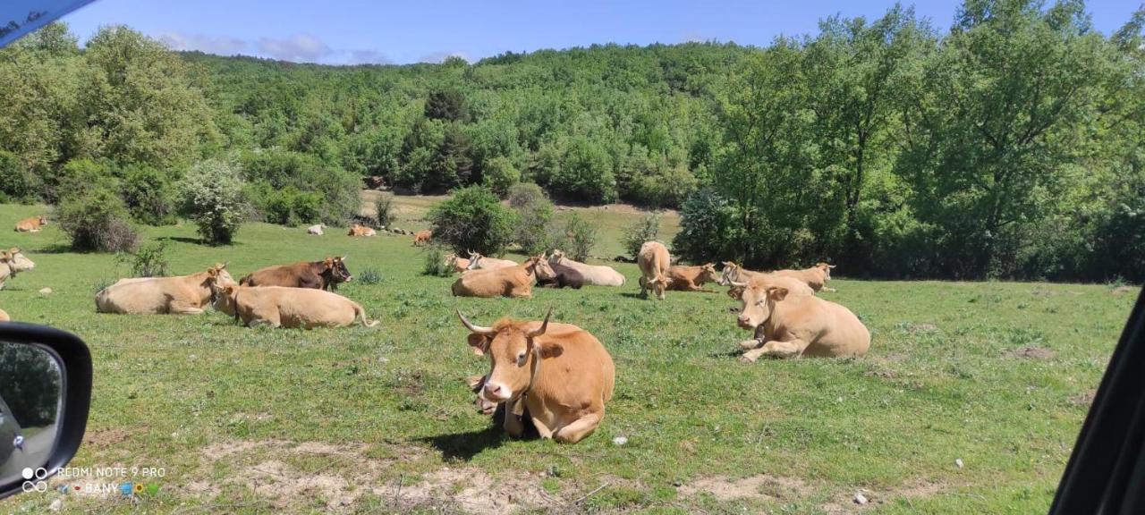 Hostal Rio Duero مولينوس ديه دويرو المظهر الخارجي الصورة